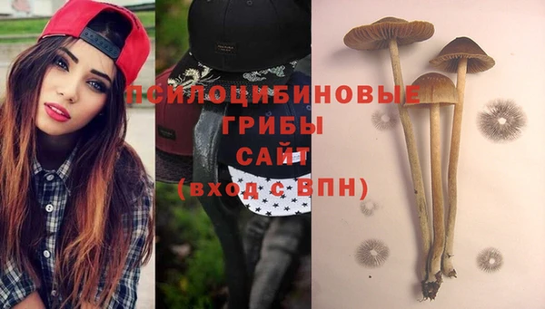 PSILOCYBIN Армянск