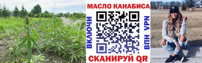 Купить закладки  Судогда  ТГК вейп с тгк 