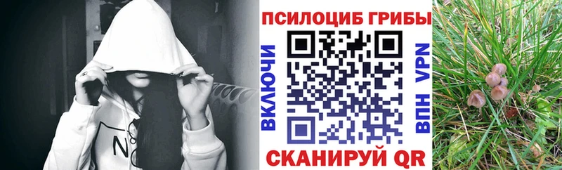 Купить  Судогда  Галлюциногенные грибы мухоморы 
